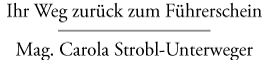 Führerscheinentzug Logo